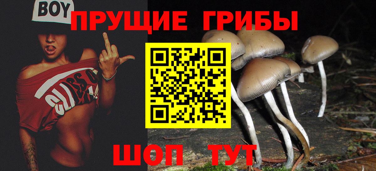 Псилоцибиновые грибы мицелий Кубинка